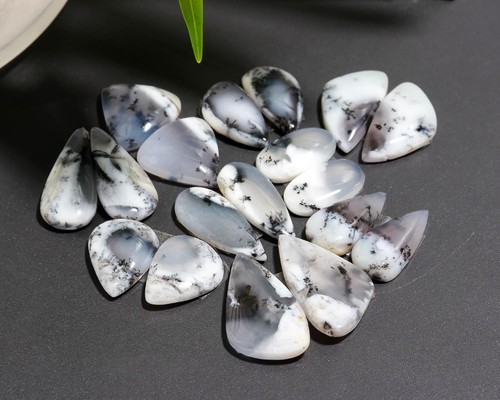 Lotto coppia agata dendrite